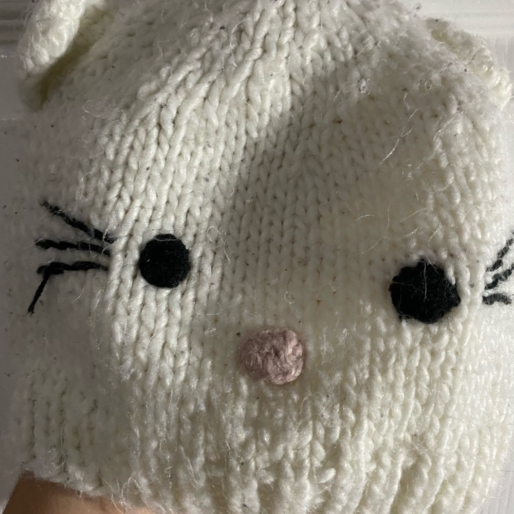 Cat beanie